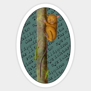 Philippine Tarsier - Carlito syrichta Sticker